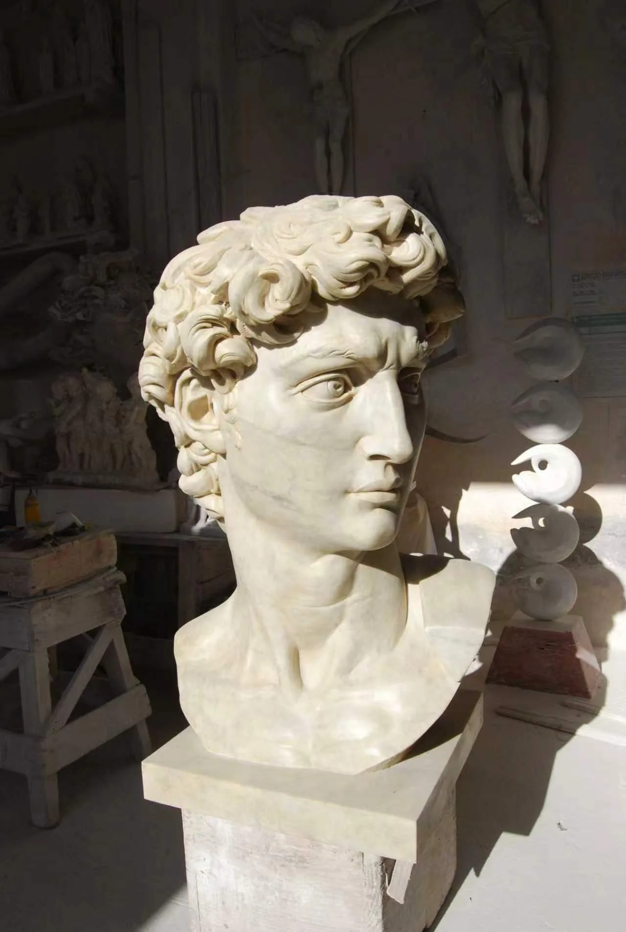 David, busto